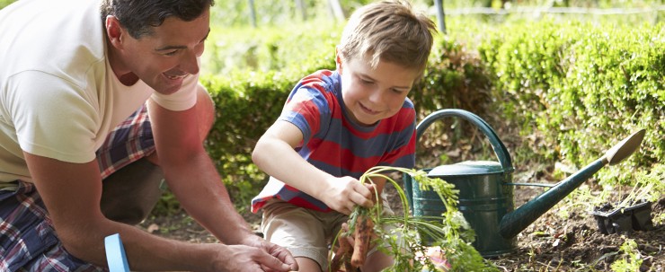 kiddie garden2