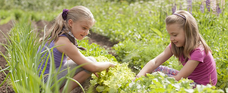 kiddie garden3