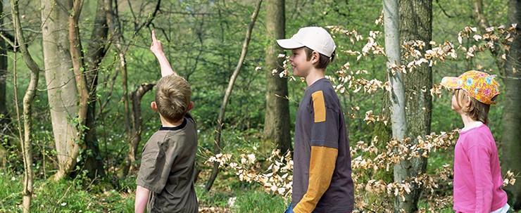 nature scavenger hunt3
