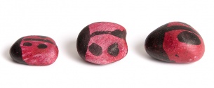 Painting Rocks